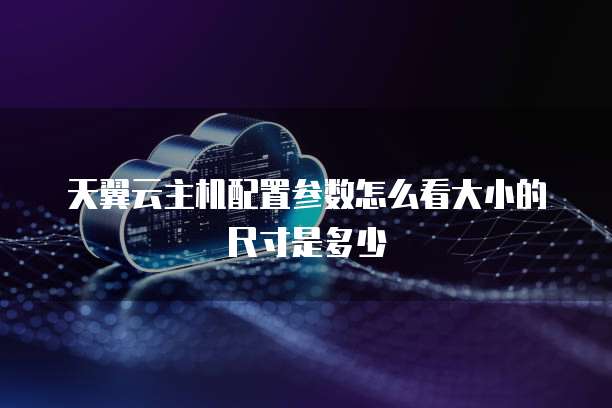 天翼云主机配置参数怎么看大小的尺寸是多少