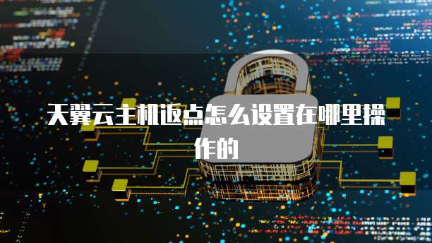 天翼云主机返点怎么设置在哪里操作的