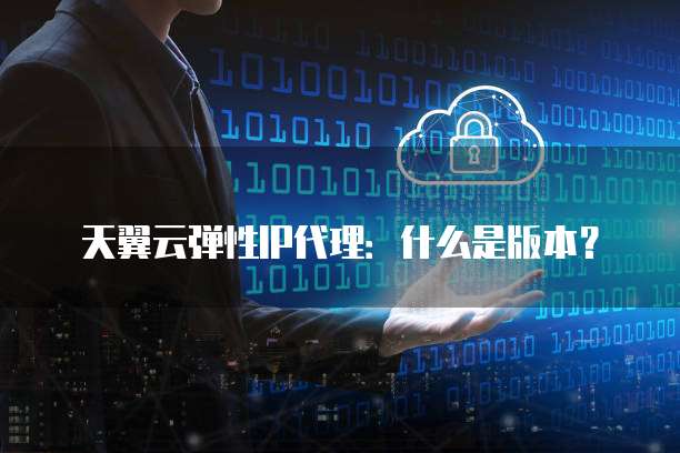 天翼云弹性IP代理:什么是版本?