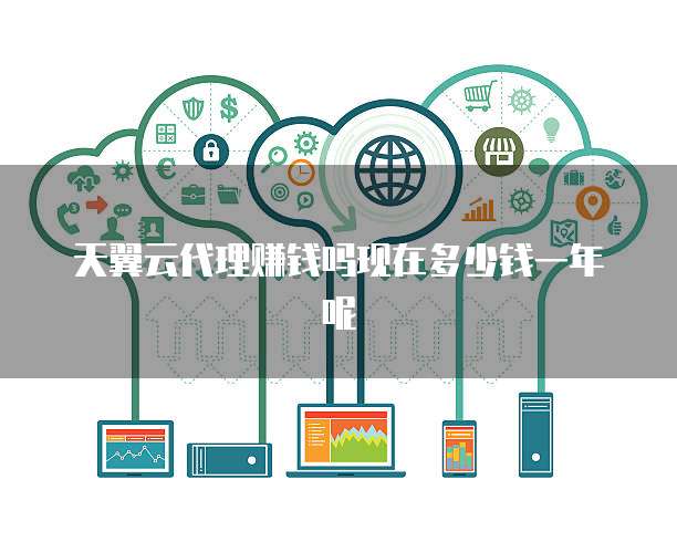 天翼云代理赚钱吗现在多少钱一年呢