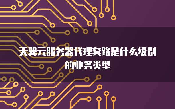 天翼云服务器代理套路是什么级别的业务类型