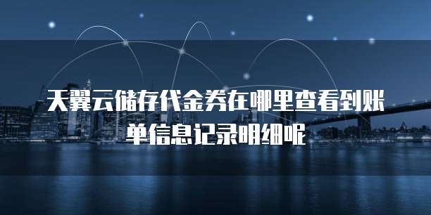 天翼云储存代金券在哪里查看到账单信息记录明细呢