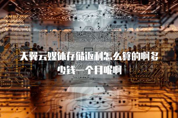 天翼云媒体存储返利怎么算的啊多少钱一个月呢啊