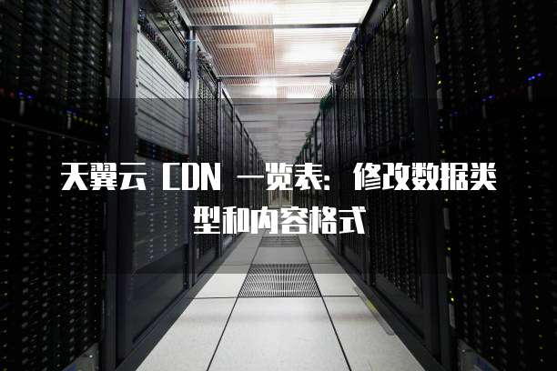 天翼云 CDN 一览表:修改数据类型和内容格式