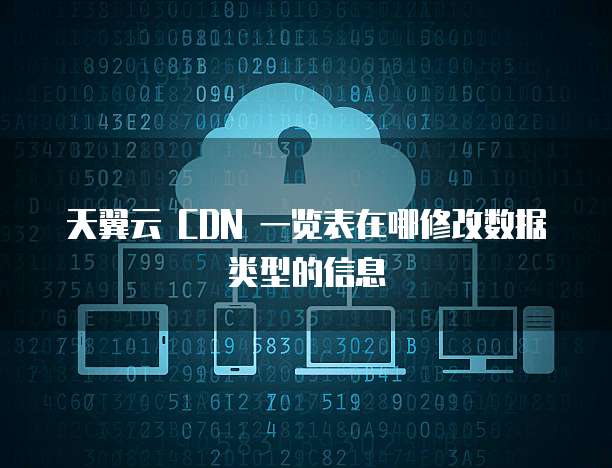天翼云 CDN 一览表在哪修改数据类型的信息