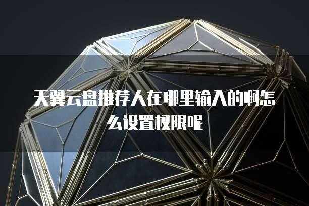 天翼云盘推荐人在哪里输入的啊怎么设置权限呢