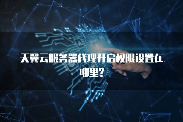 天翼云服务器代理开启权限设置在哪里?