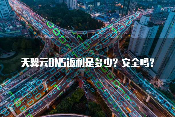 天翼云DNS返利是多少？安全吗？