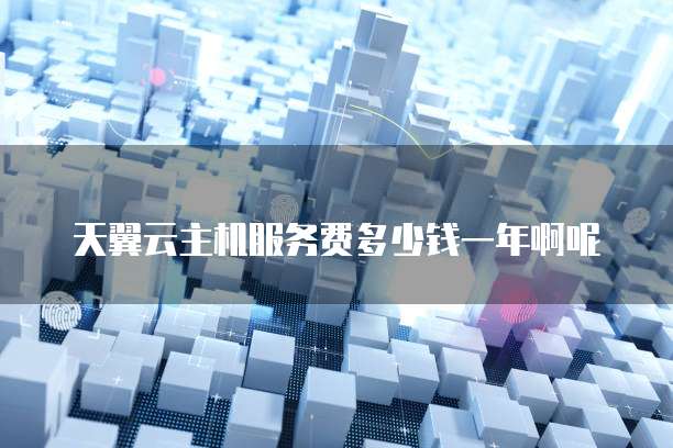 天翼云主机服务费多少钱一年啊呢