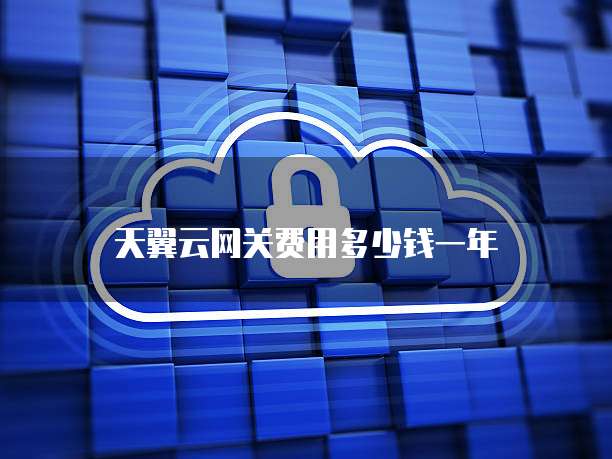 天翼云网关费用多少钱一年