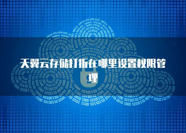 天翼云存储打折在哪里设置权限管理