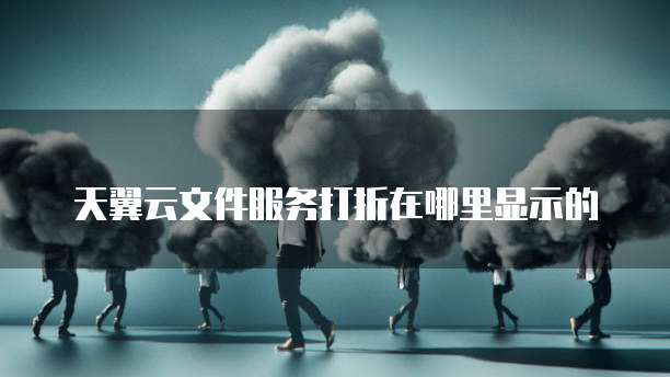天翼云文件服务打折在哪里显示的