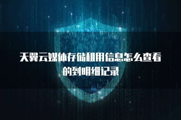 天翼云媒体存储租用信息怎么查看的到明细记录