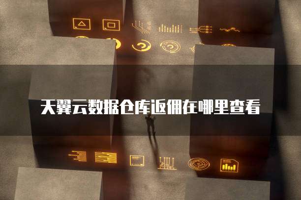 天翼云数据仓库返佣在哪里查看