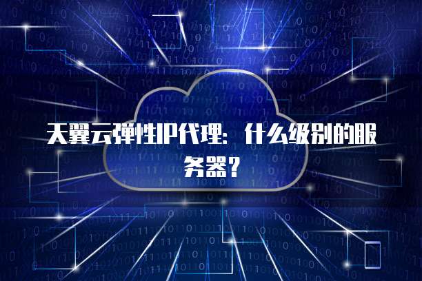 天翼云弹性IP代理:什么级别的服务器?