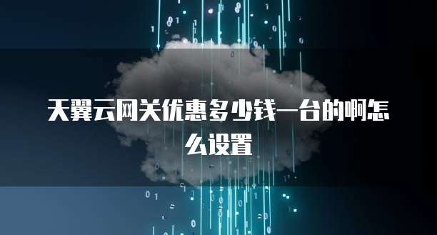 天翼云网关优惠多少钱一台的啊怎么设置