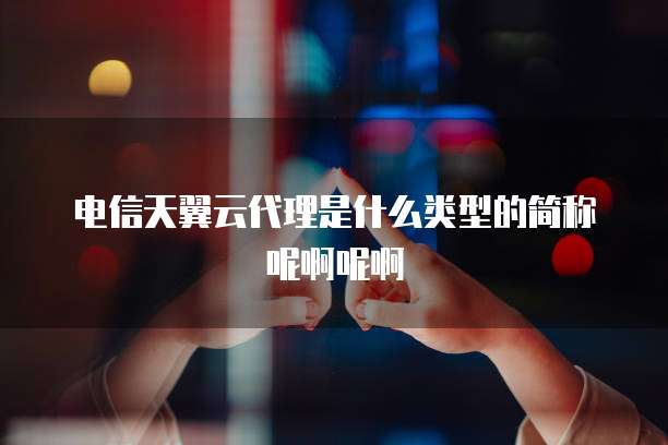 电信天翼云代理是什么类型的简称呢啊呢啊