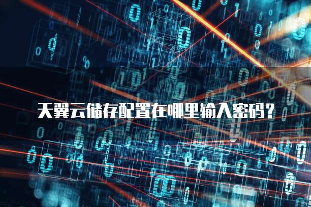 天翼云储存配置在哪里输入密码？