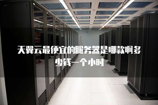 天翼云最便宜的服务器是哪款啊多少钱一个小时
