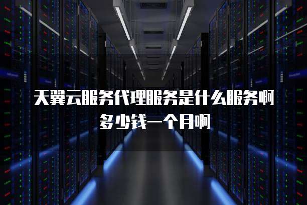 天翼云服务代理服务是什么服务啊多少钱一个月啊