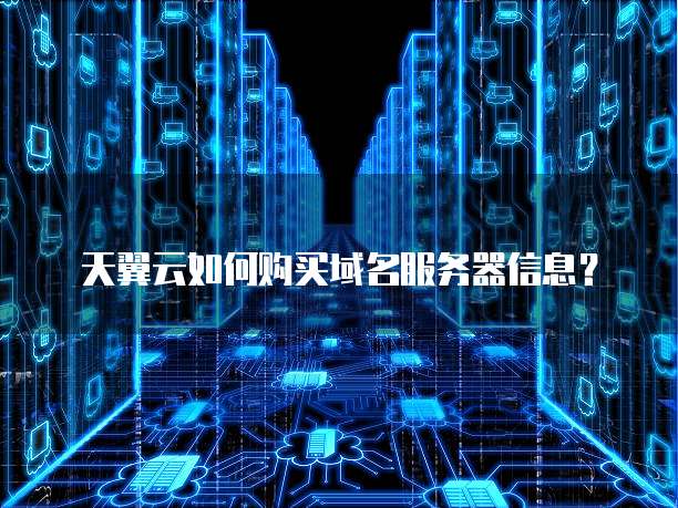 天翼云如何购买域名服务器信息?