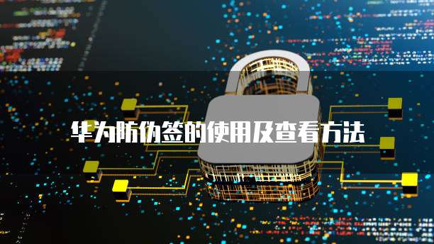 天翼云高防服务器租用多久