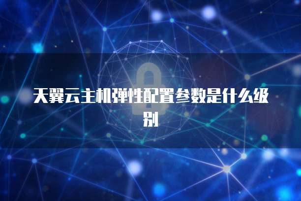 天翼云主机弹性配置参数是什么级别