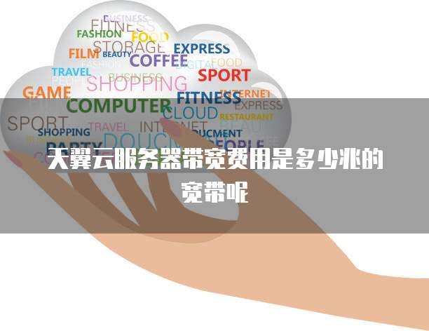 天翼云服务器带宽费用是多少兆的宽带呢