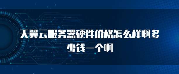 天翼云服务器硬件价格怎么样啊多少钱一个啊