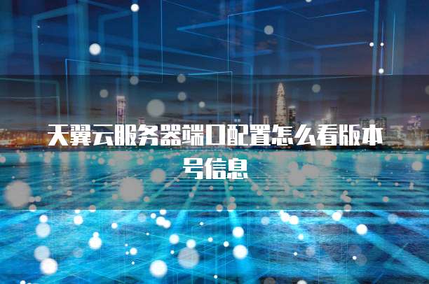 天翼云服务器端口配置怎么看版本号信息