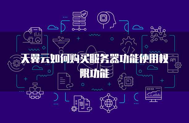 天翼云如何购买服务器功能使用权限功能