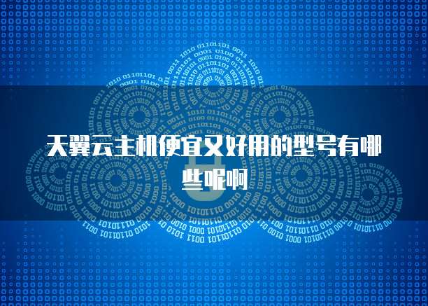 天翼云主机便宜又好用的型号有哪些呢啊