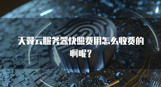 天翼云服务器快照费用怎么收费的啊呢?