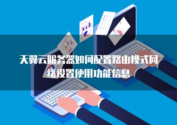 天翼云服务器如何配置路由模式网络设置使用功能信息