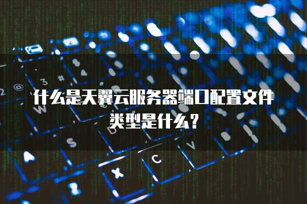 什么是天翼云服务器端口配置文件类型是什么?