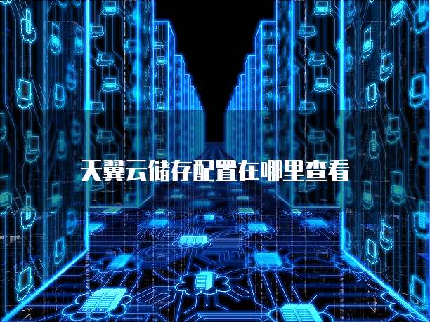天翼云储存配置在哪里查看