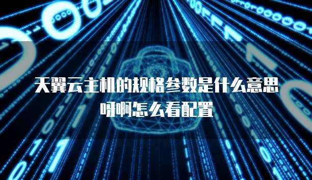 天翼云主机的规格参数是什么意思呀啊怎么看配置