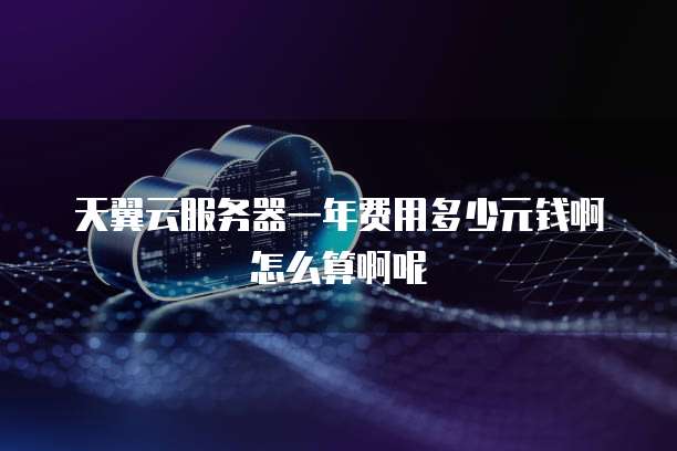天翼云服务器一年费用多少元钱啊怎么算啊呢