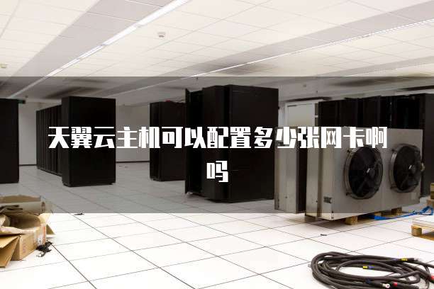 天翼云主机可以配置多少张网卡啊吗