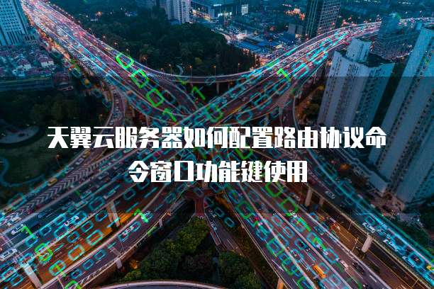 天翼云服务器如何配置路由协议命令窗口功能键使用