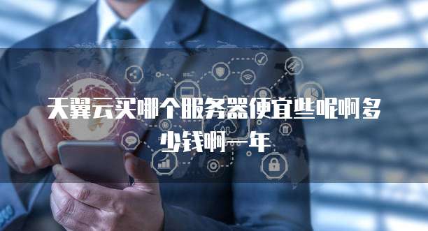 天翼云买哪个服务器便宜些呢啊多少钱啊一年