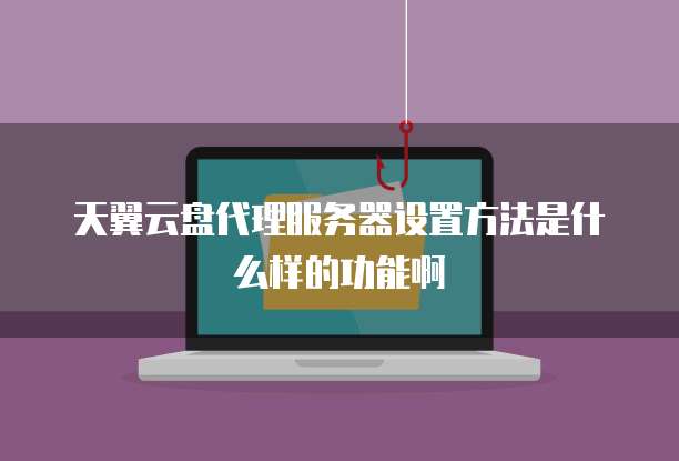 天翼云盘代理服务器设置方法是什么样的功能啊