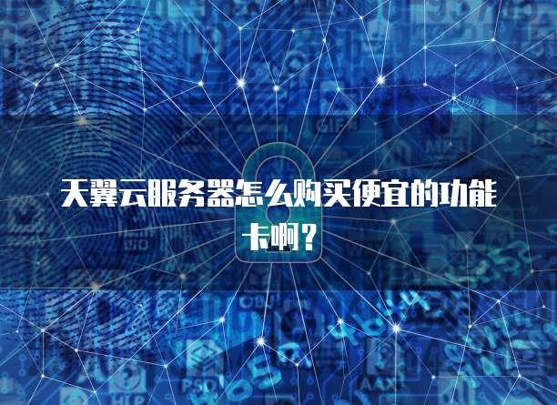 天翼云服务器怎么购买便宜的功能卡啊?