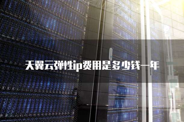天翼云弹性ip费用是多少钱一年