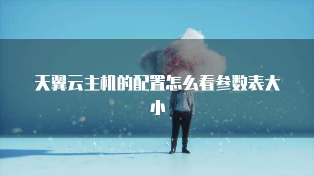 天翼云主机的配置怎么看参数表大小