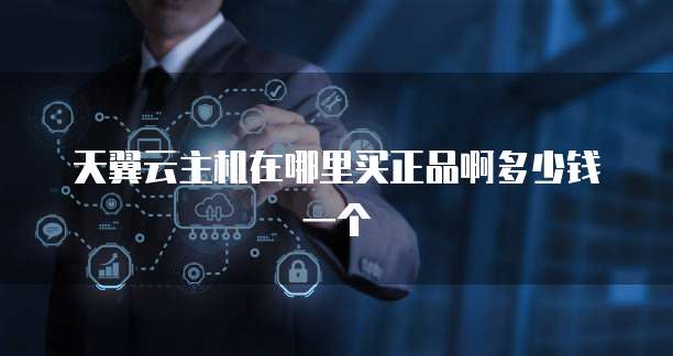 天翼云主机在哪里买正品啊多少钱一个