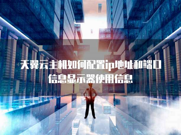 天翼云主机如何配置ip地址和端口信息显示器使用信息