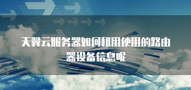 天翼云服务器如何租用使用的路由器设备信息呢