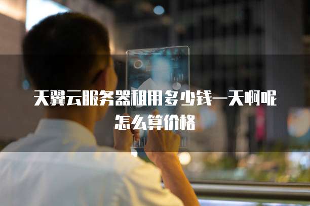 天翼云服务器租用多少钱一天啊呢怎么算价格