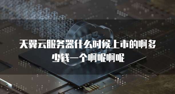 天翼云服务器什么时候上市的啊多少钱一个啊呢啊呢